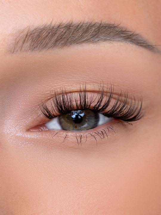 MERCURY - OBSESSED LASHES