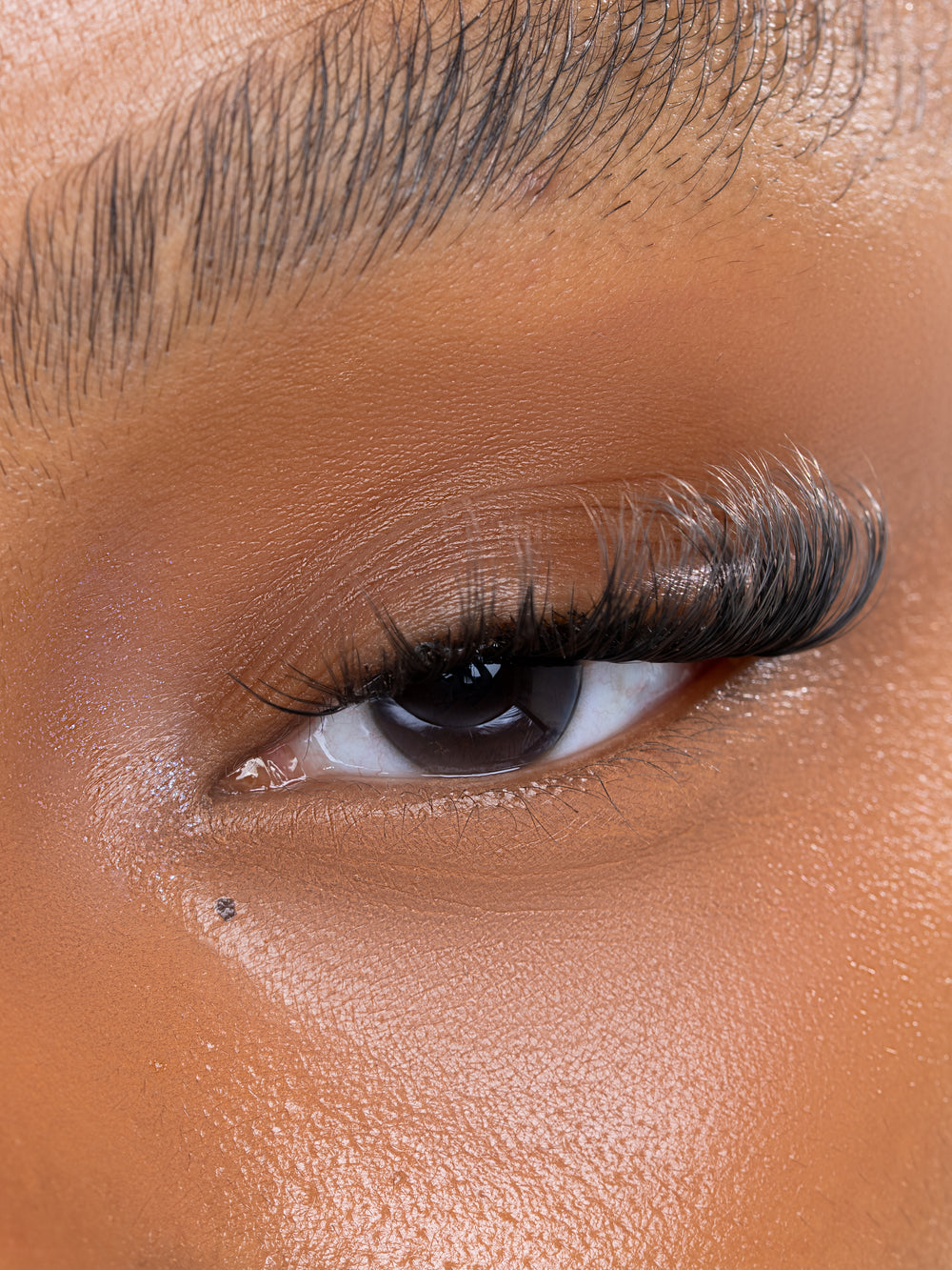 OBSESSED STARTER BOX - SASSY SAG