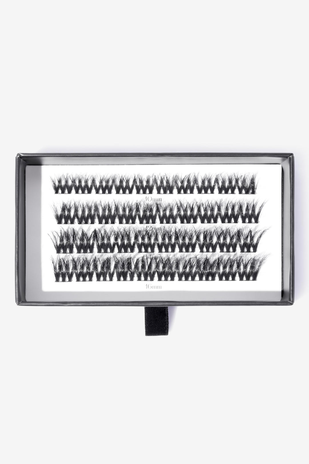 LASH-ITUDE - OBSESSED LASHES