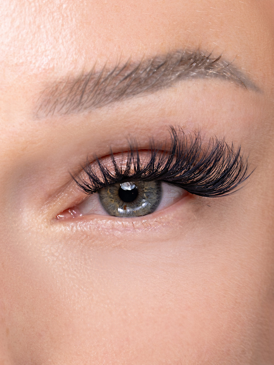 LASH-ITUDE - OBSESSED LASHES