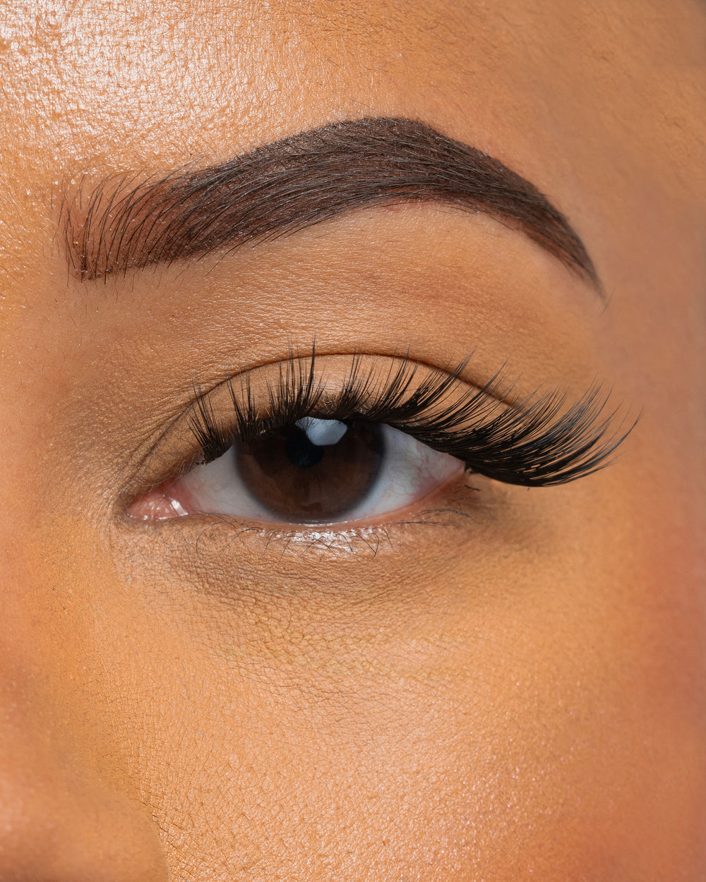 AFTER HOURS - PRESS ON LASH