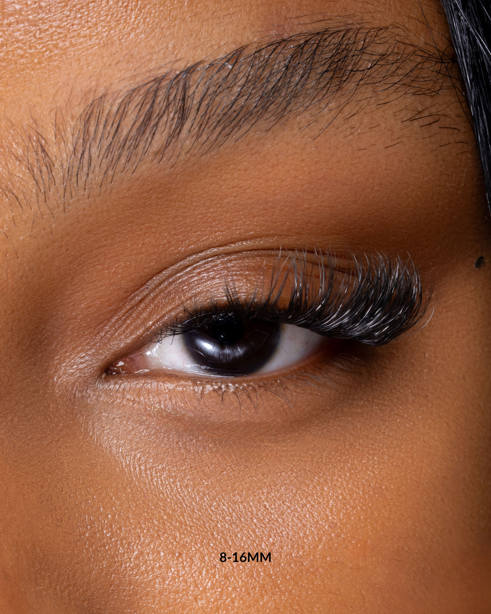 SASSY SAG - LASHES