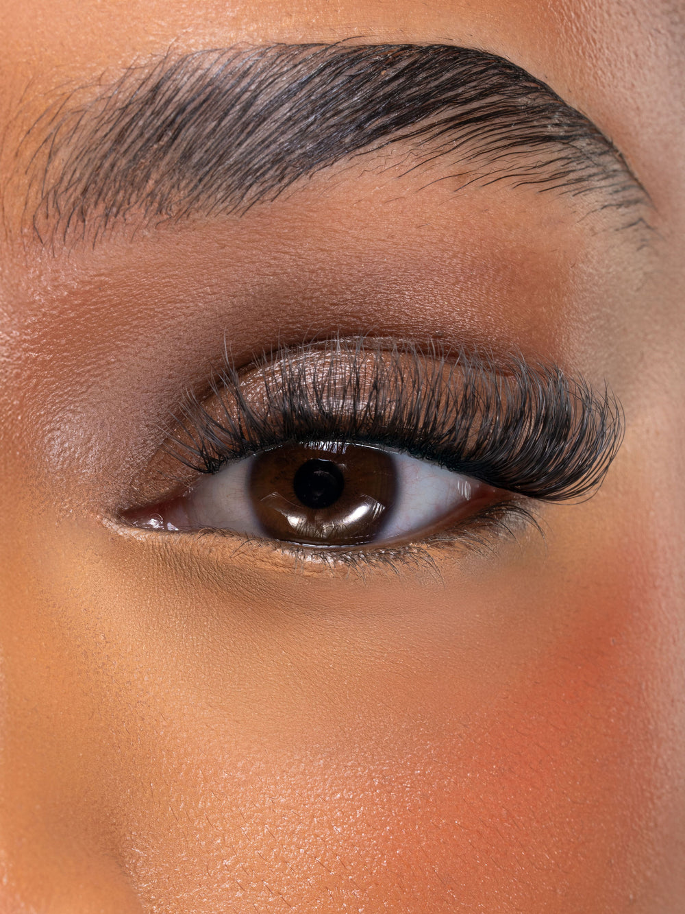 UNIVERSE - OBSESSED LASHES