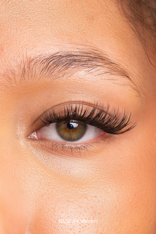 LEO - LASHES