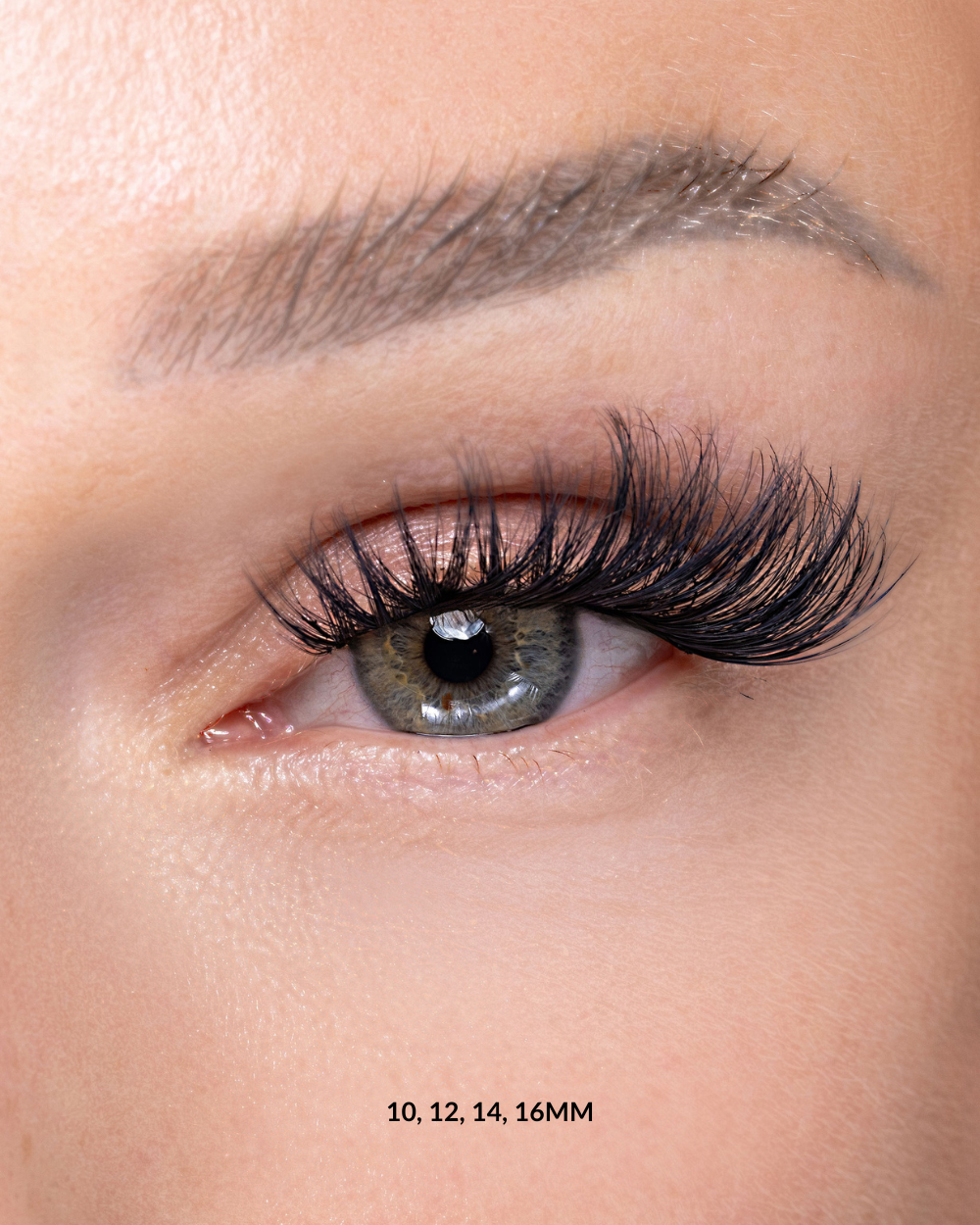 LASH-ITUDE - LASHES
