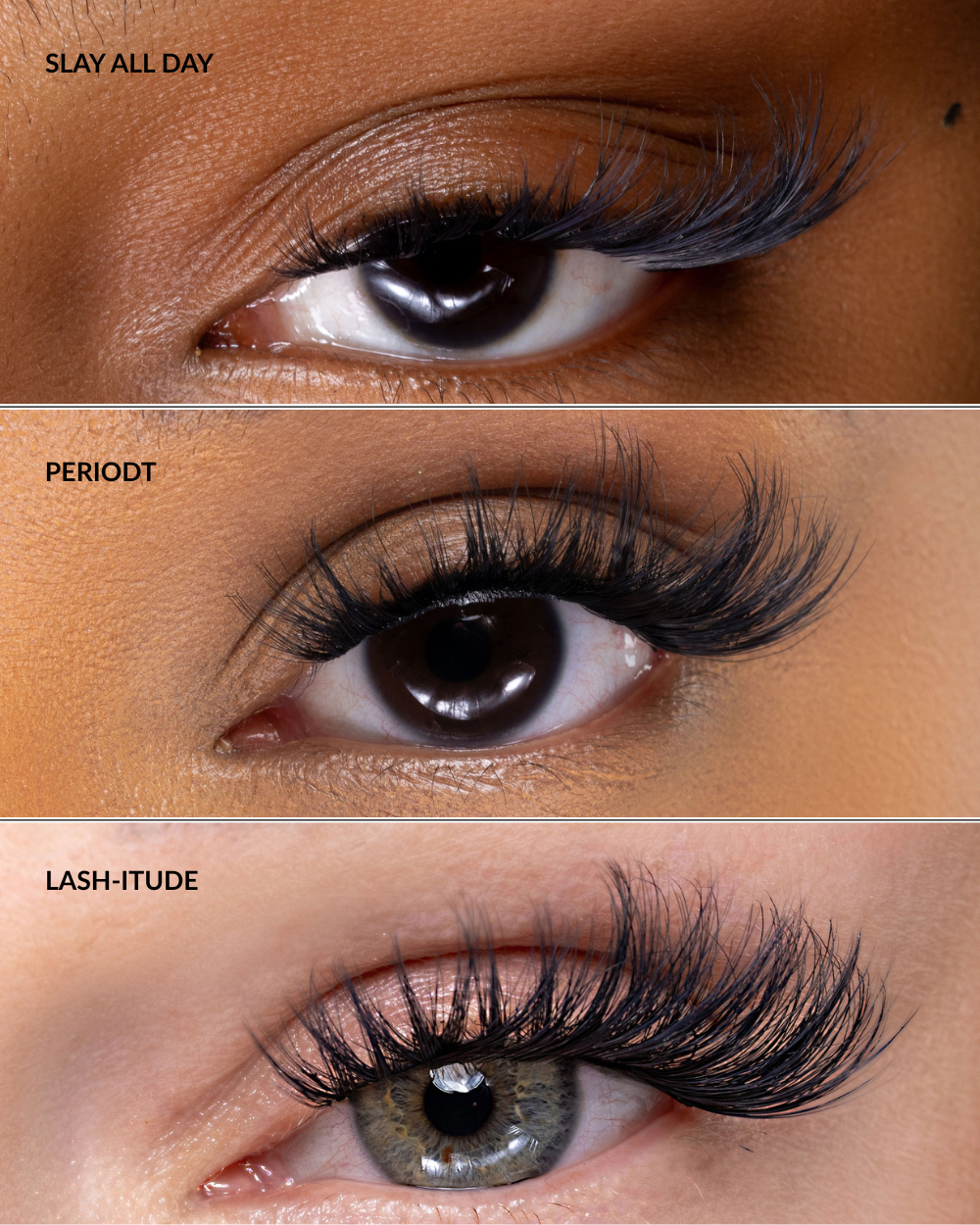 VOLUME BUNDLE