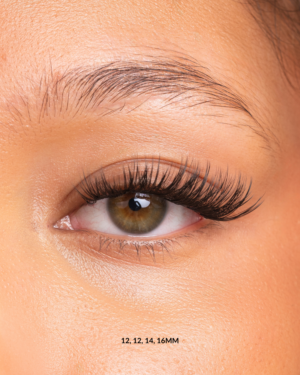 LEO - LASHES